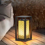 Modern Floral LED Pathway Light for Garden and Lawn – Black