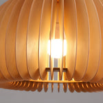 Pumpkin Shaped Pendant Light Li001916