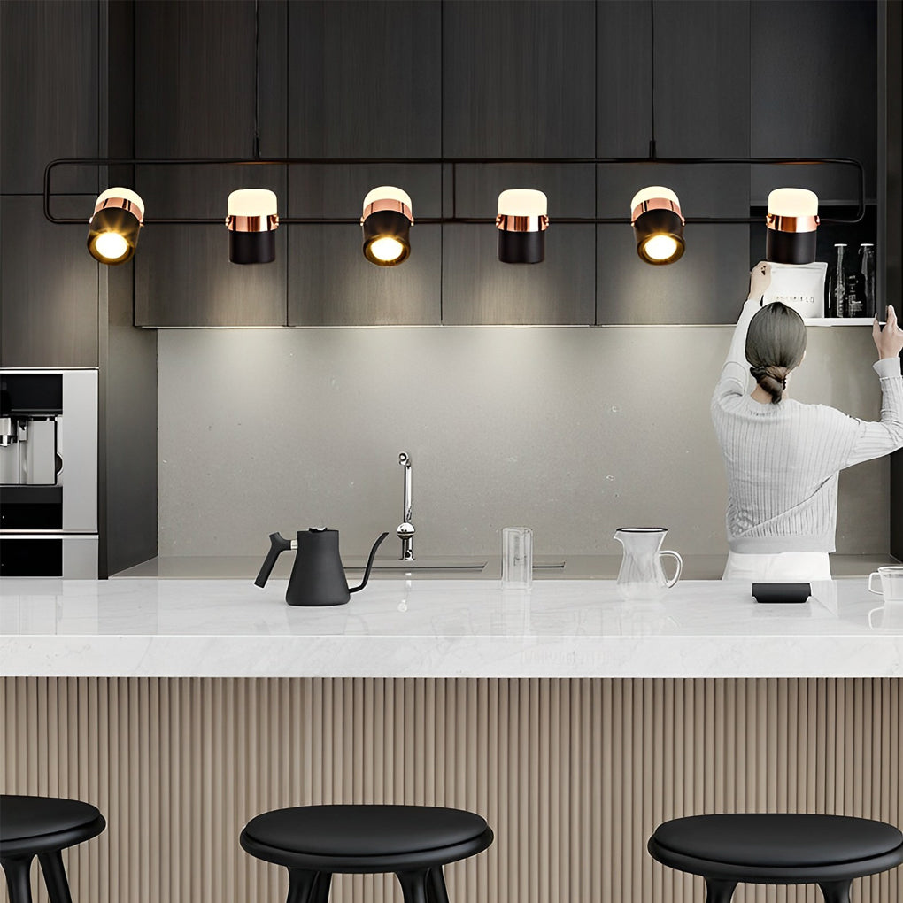 Rotatable Pendant Lights Li002239