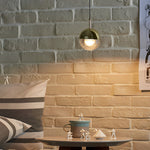 Round Nordic Led Pendant Light Li002421