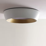 afx-duncan-ceiling-light