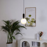 Aballs Glass Pendant Lamp