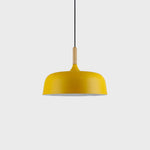 18 Acorn Pendant Light