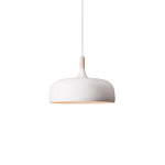 18 Acorn Pendant Light