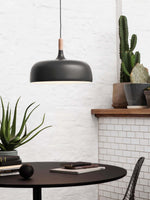 18 Acorn Pendant Light
