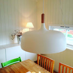 18 Acorn Pendant Light