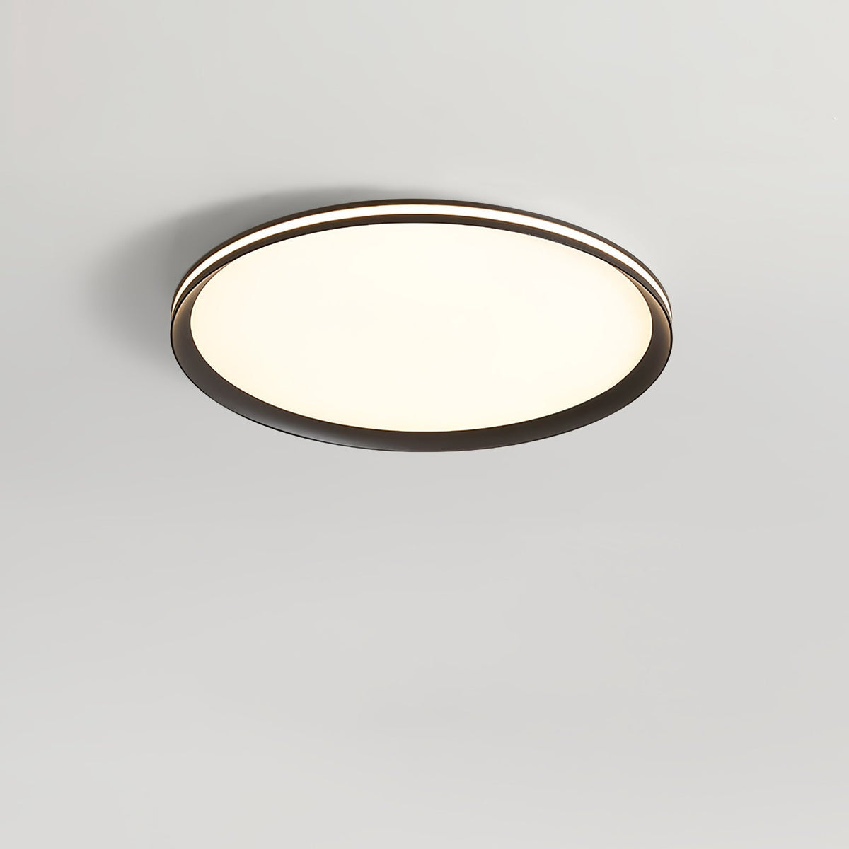 Acrylic Circular Led Ceiling Light