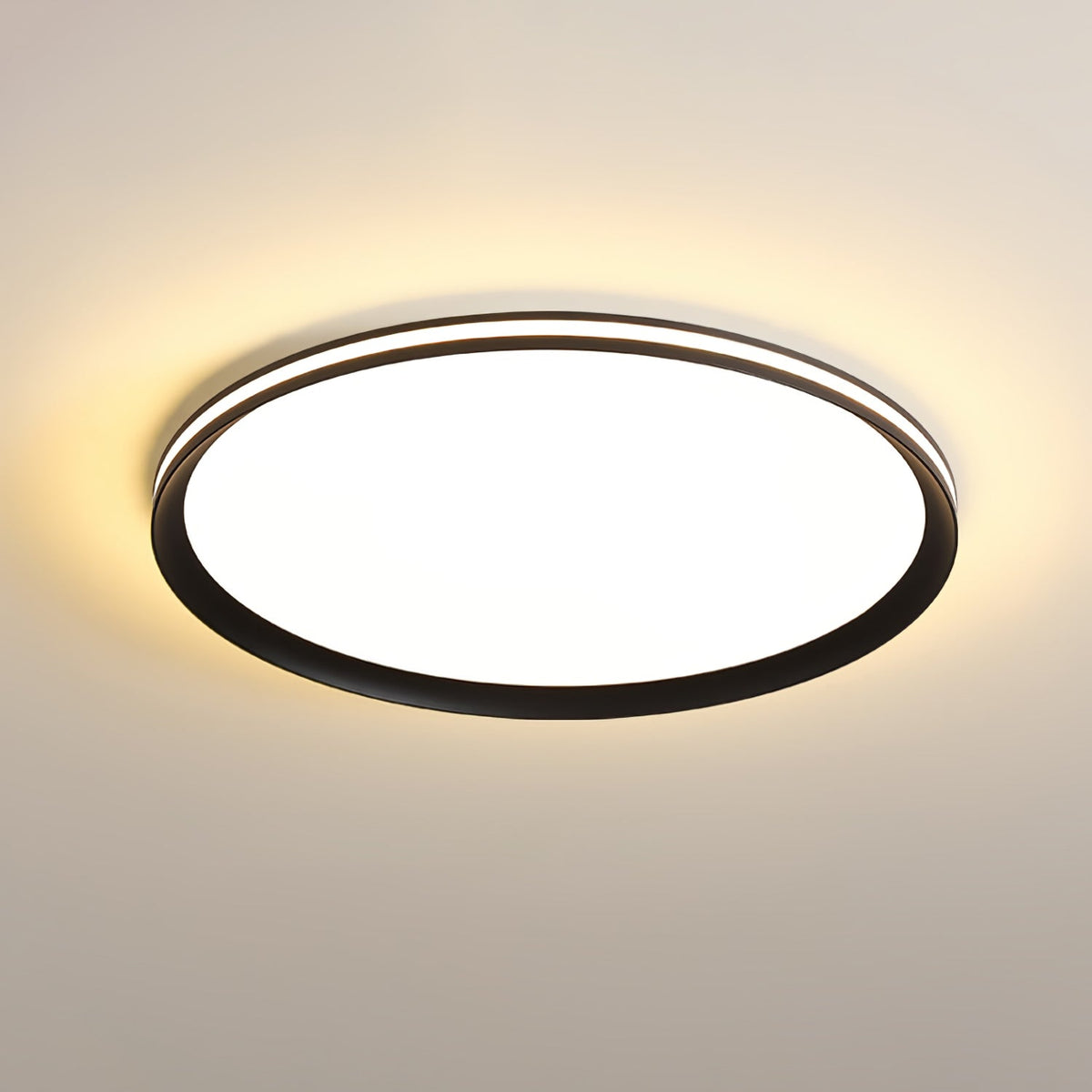 Acrylic Circular Led Ceiling Light
