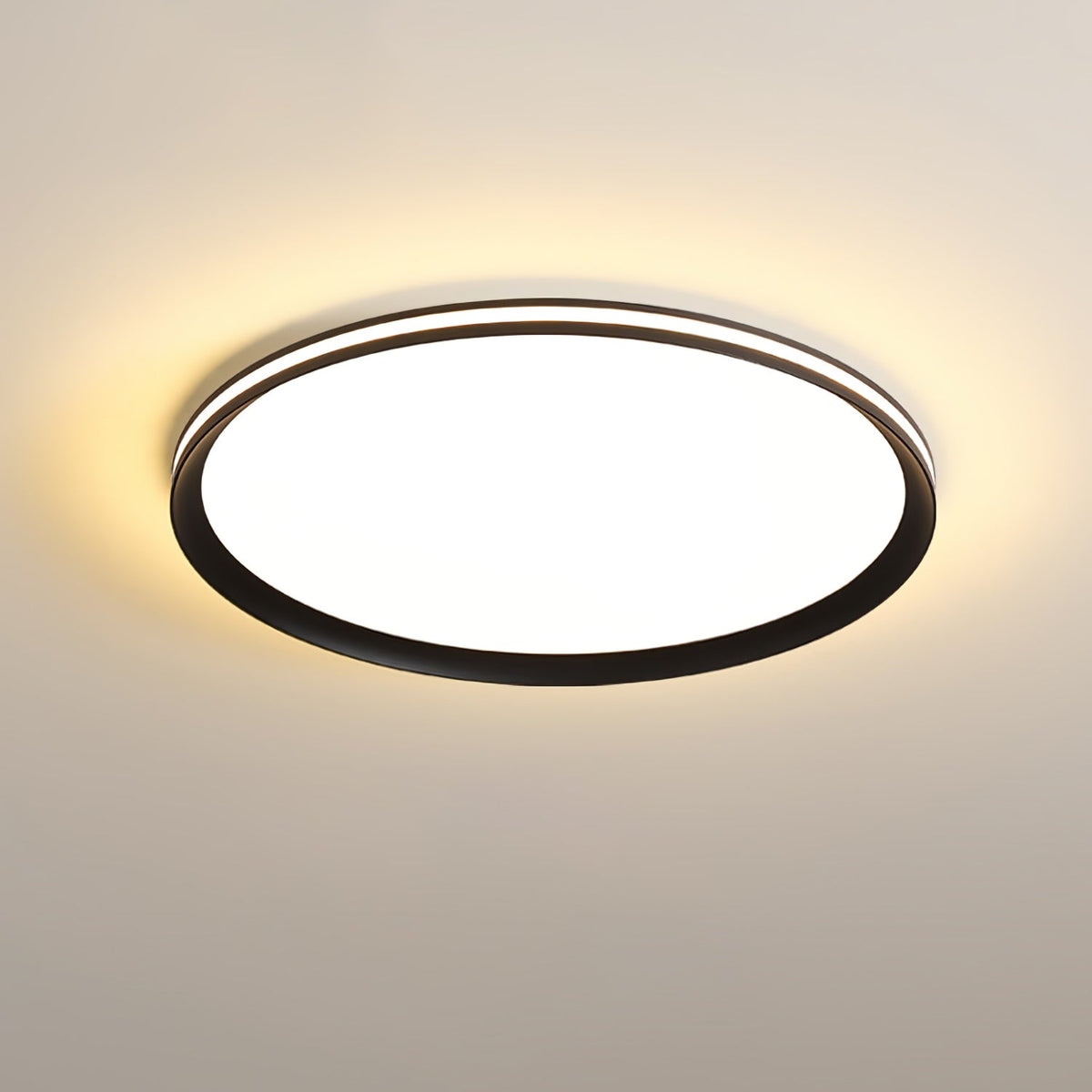 Acrylic Circular Led Ceiling Light