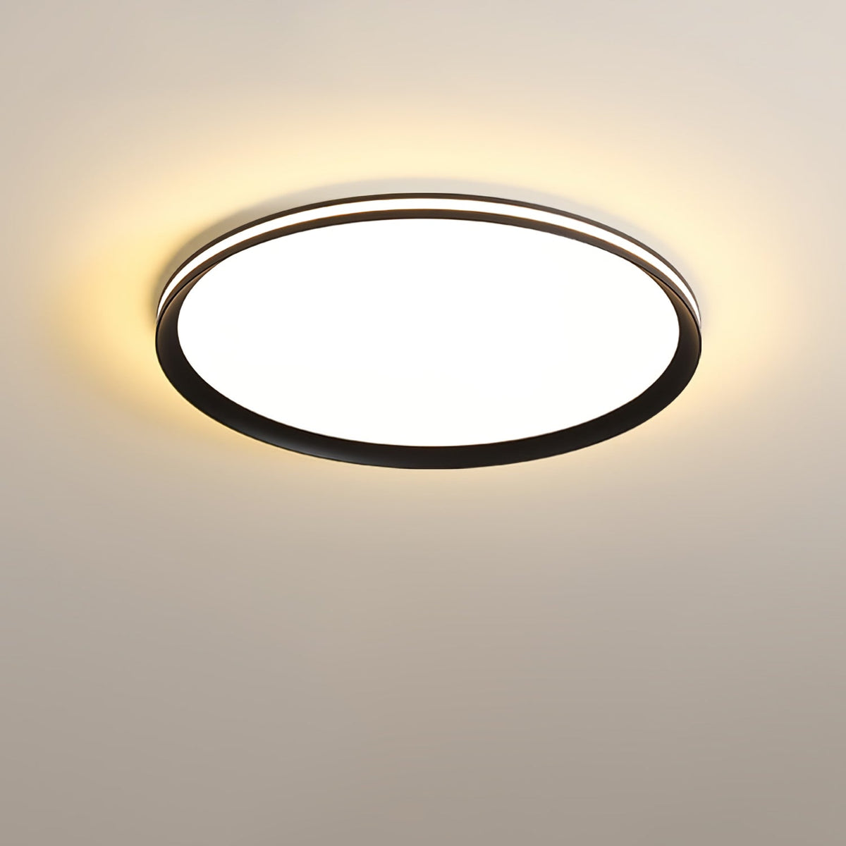 Acrylic Circular Led Ceiling Light