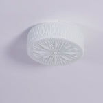 Adler Ceiling Light - ailampplus
