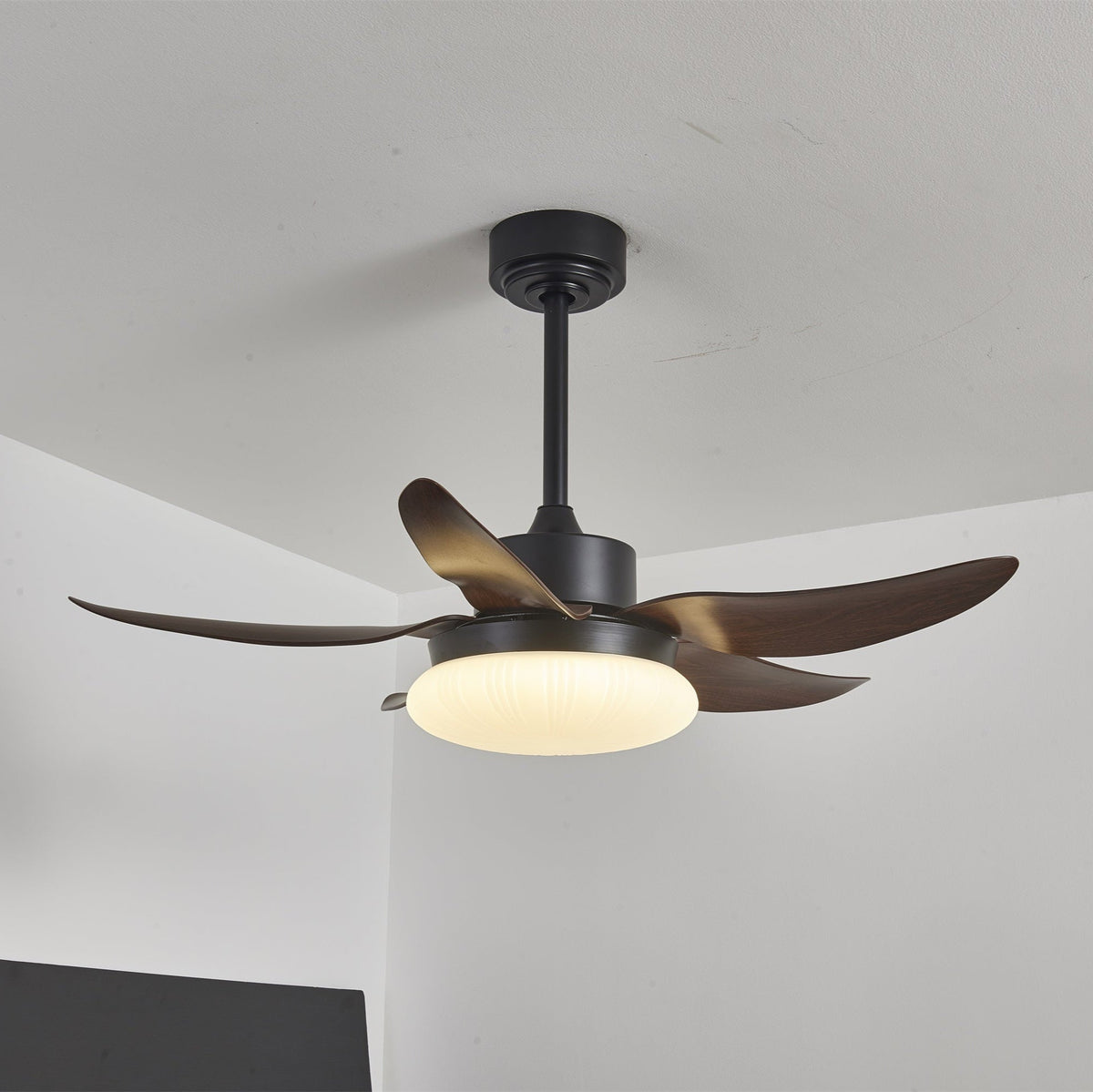 Aero Palm Ceiling Fan Light with LED Dome and Walnut Blades