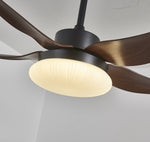 Aero Palm Ceiling Fan Light with LED Dome and Walnut Blades
