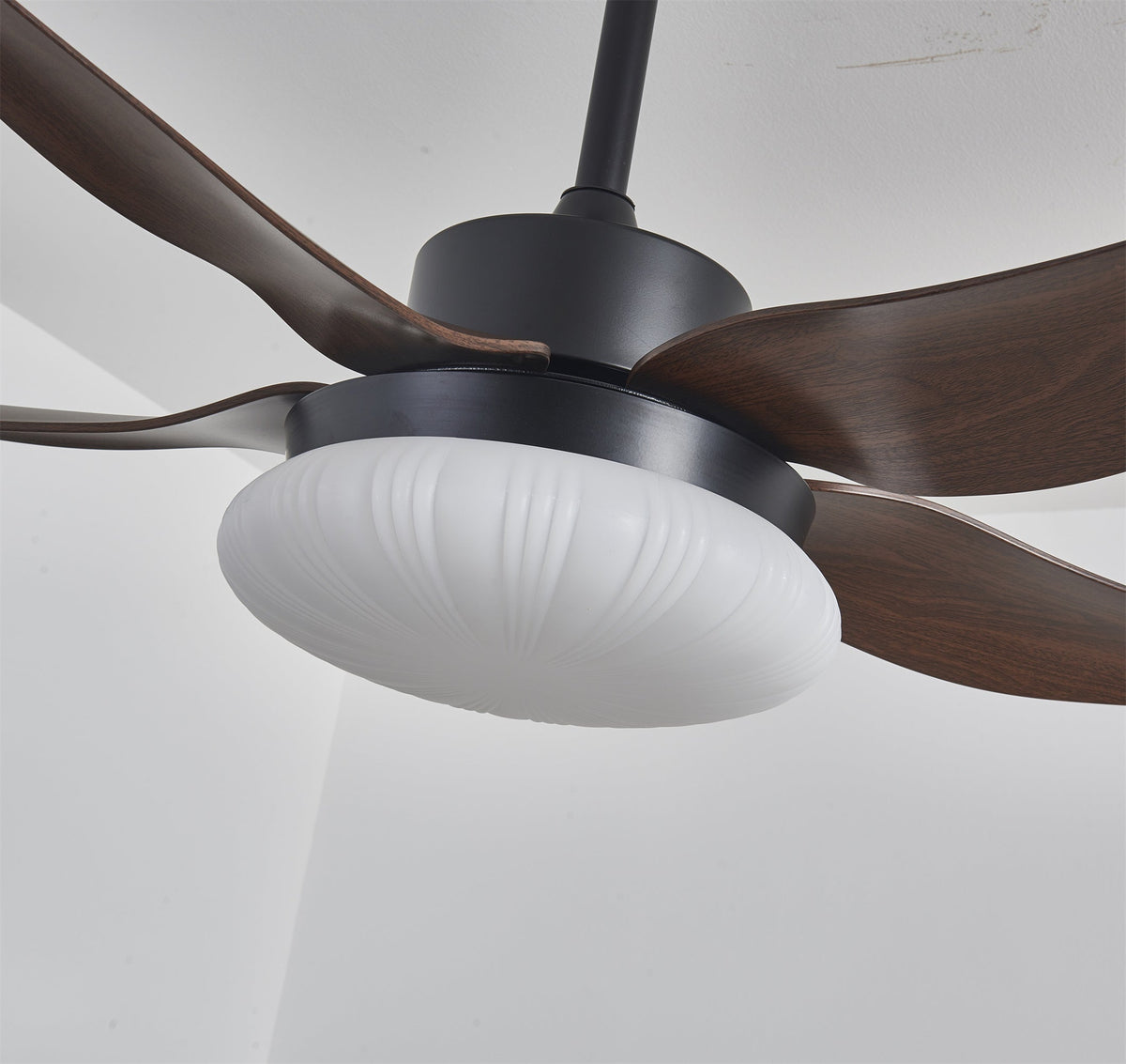 Aero Palm Ceiling Fan Light with LED Dome and Walnut Blades
