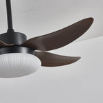 Aero Palm Ceiling Fan Light with LED Dome and Walnut Blades