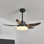 Aero Palm Ceiling Fan Light with LED Dome and Walnut Blades