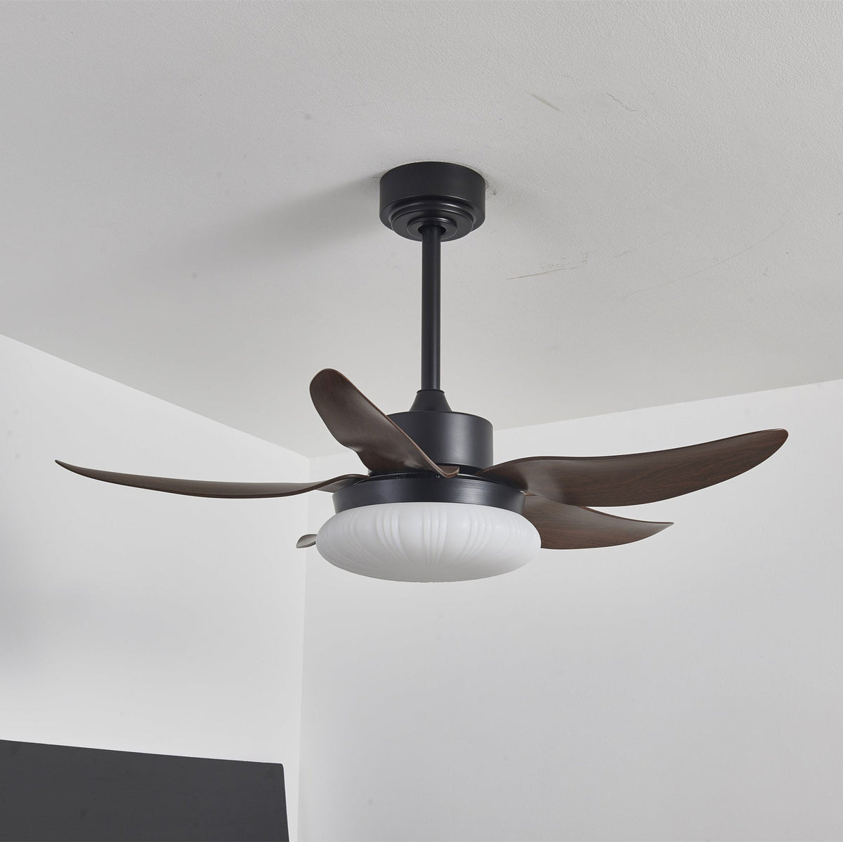 Aero Palm Ceiling Fan Light with LED Dome and Walnut Blades
