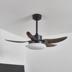 Aero Palm Ceiling Fan Light with LED Dome and Walnut Blades