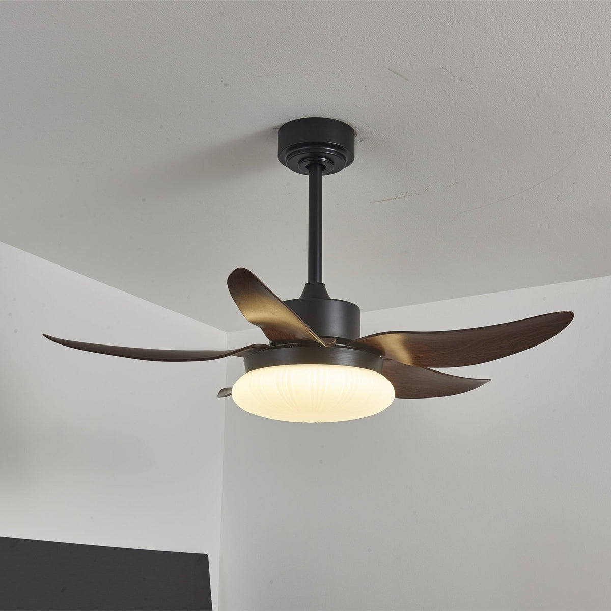 Aero Palm Ceiling Fan Light with LED Dome and Walnut Blades