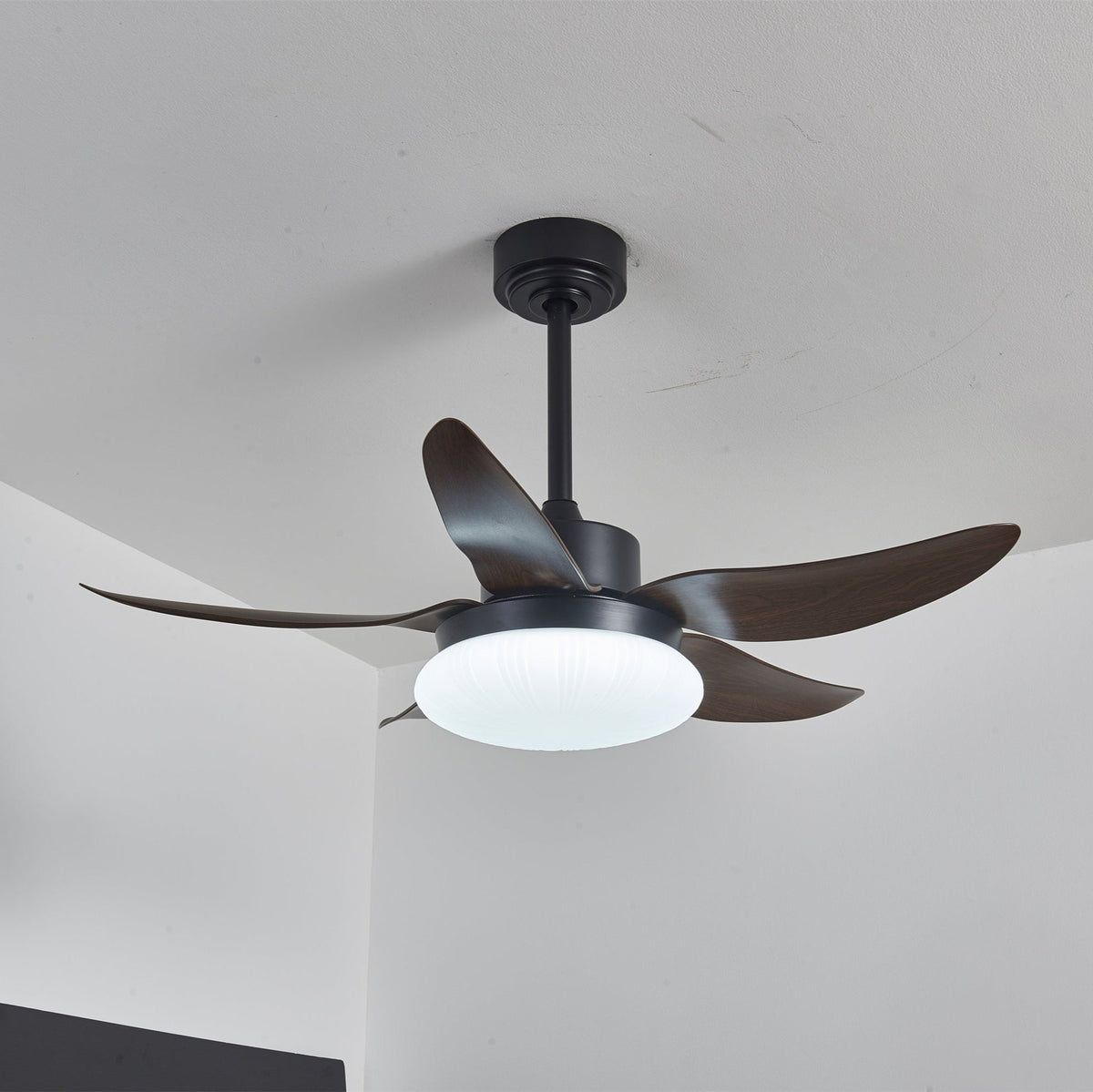 Aero Palm Ceiling Fan Light with LED Dome and Walnut Blades