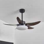 Aero Palm Ceiling Fan Light with LED Dome and Walnut Blades