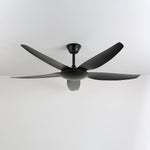 Aeron Noir Ceiling Fan with Light – Modern Black LED Fan for Living Room and Bedroom