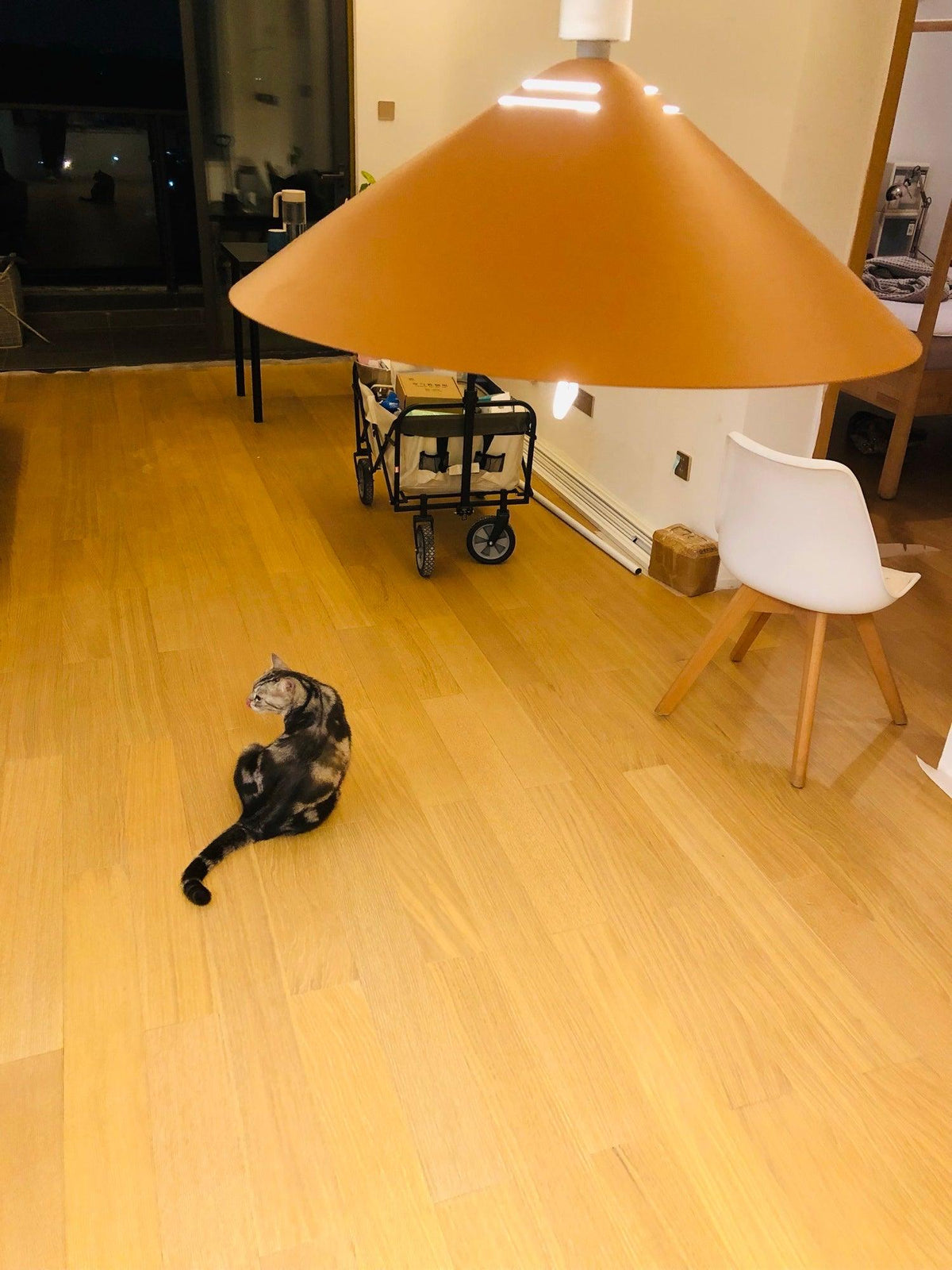 Agnes Retro Pendant Light with Retractable Cable, Mid-Century Modern Kitchen Island Lamp