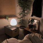 Xuanzhi Table Lamp