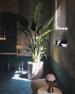 alabaster-comet-table-lamp