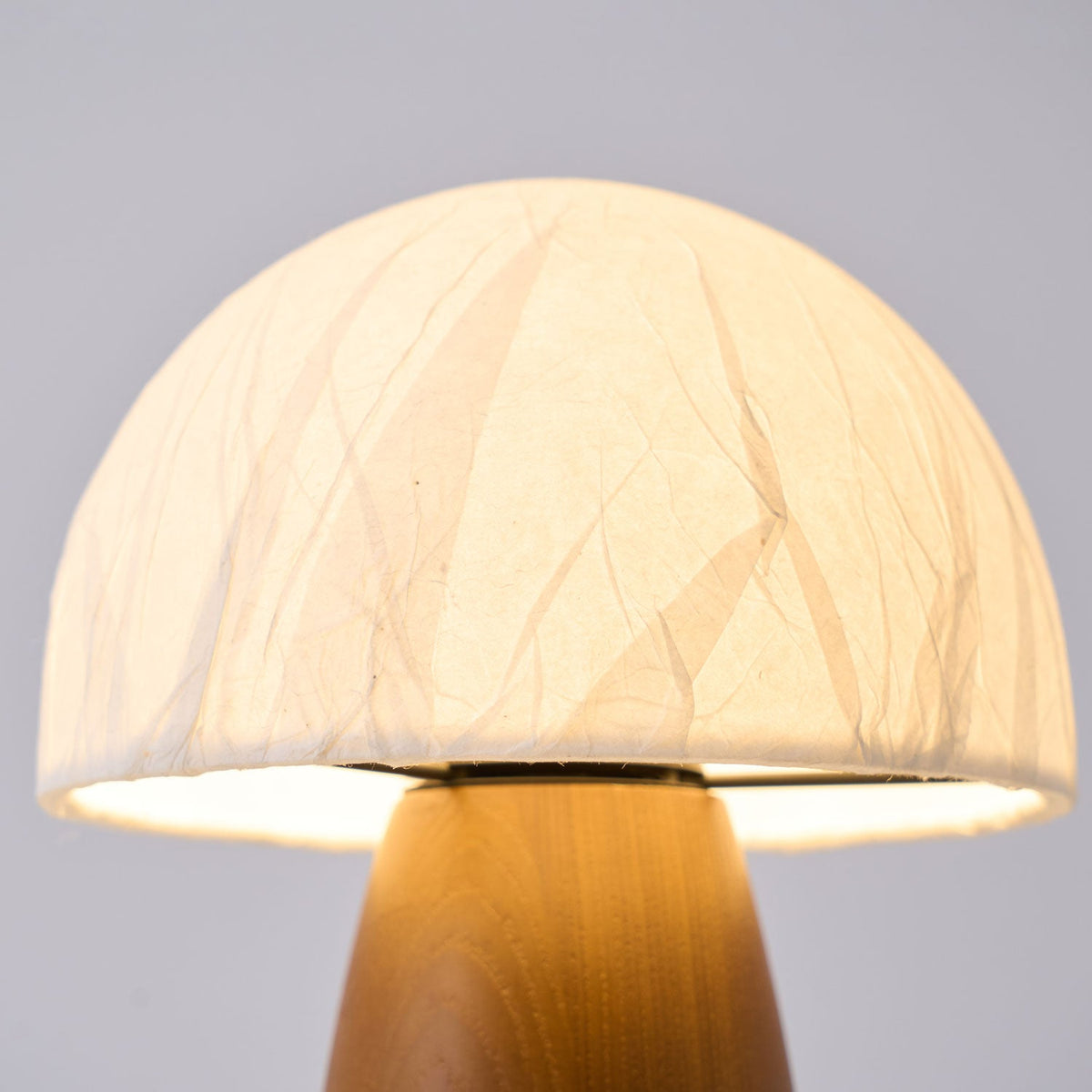 Myco Mushroom Table Lamp with Walnut Wood Base and LED