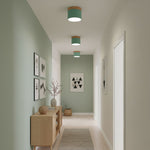Alva Wooden Surface Downlight – Scandinavian Minimalist Ceiling Lamp