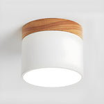 Alva Wooden Surface Downlight – Scandinavian Minimalist Ceiling Lamp