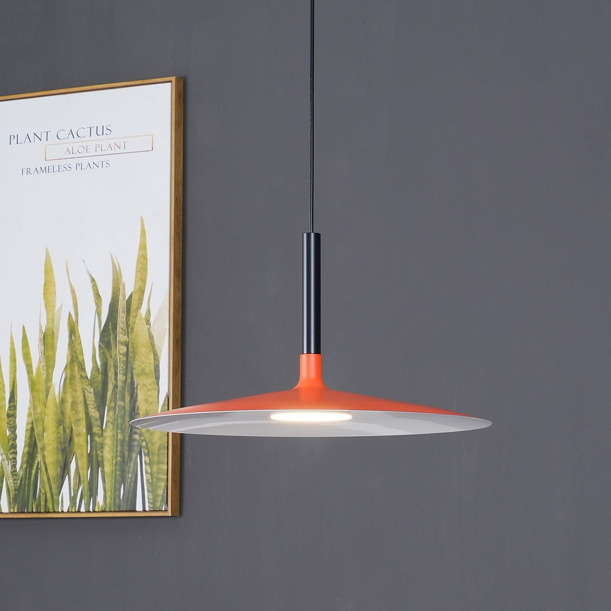 Aplomb Pendant light