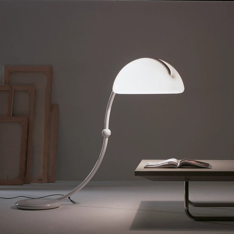 Arc Dome Floor Lamp – Modern Curved LED Floor Light for Living Room & Bedroom
