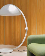 Arc Dome Floor Lamp – Modern Curved LED Floor Light for Living Room & Bedroom