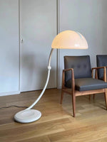 Arc Dome Floor Lamp – Modern Curved LED Floor Light for Living Room & Bedroom