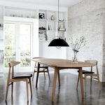 arc-light-pendant-lamp