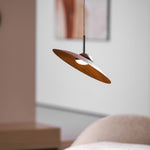 Arcadian Wood Grain Dome Pendant Light with Integrated LED