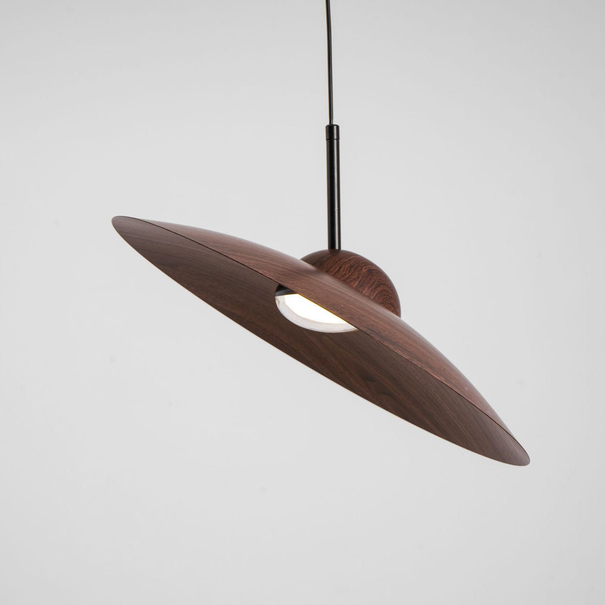 Arcadian Wood Grain Dome Pendant Light with Integrated LED