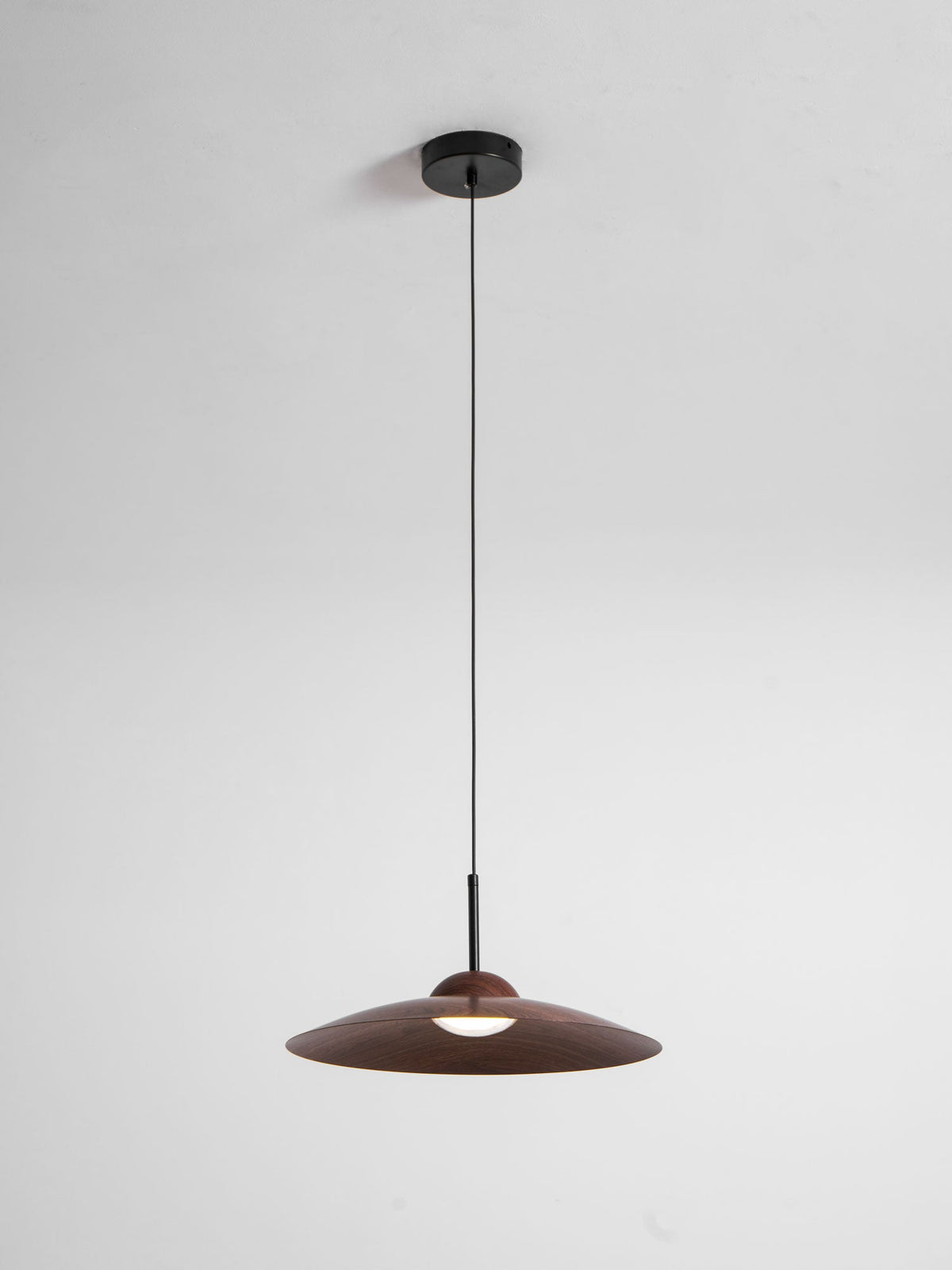 Arcadian Wood Grain Dome Pendant Light with Integrated LED