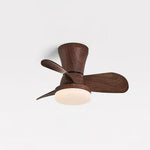 arilia-ceiling-fan-light