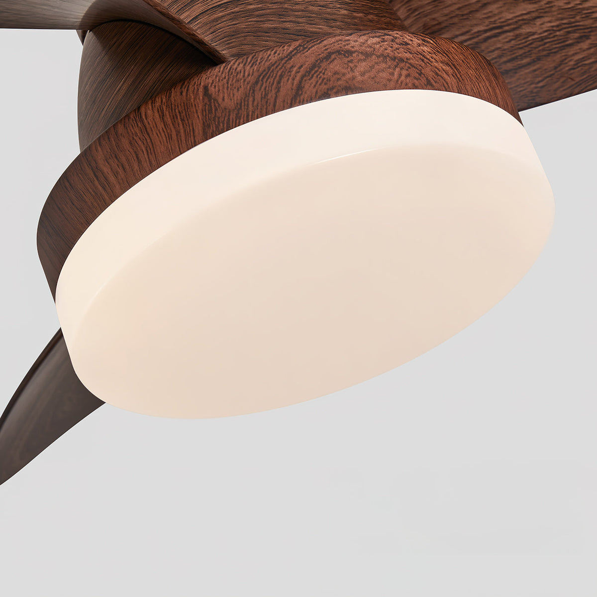 arilia-ceiling-fan-light