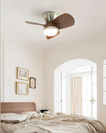 arilia-ceiling-fan-light