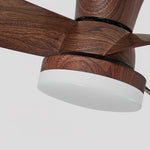 arilia-ceiling-fan-light