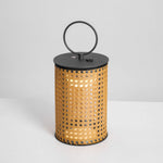 Arlette Solar Lantern Outdoor Lamp with Rattan Shade