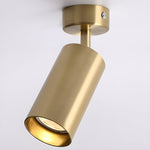 Arlo Adjustable Ceiling Spotlight in Black, White, or Gold – Modern Architectural Accent Light