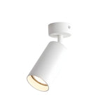 Arlo Adjustable Ceiling Spotlight in Black, White, or Gold – Modern Architectural Accent Light