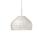 Armadillo Sculptural Pendant Light – Modern Metal Hanging Lamp for Dining & Living Spaces