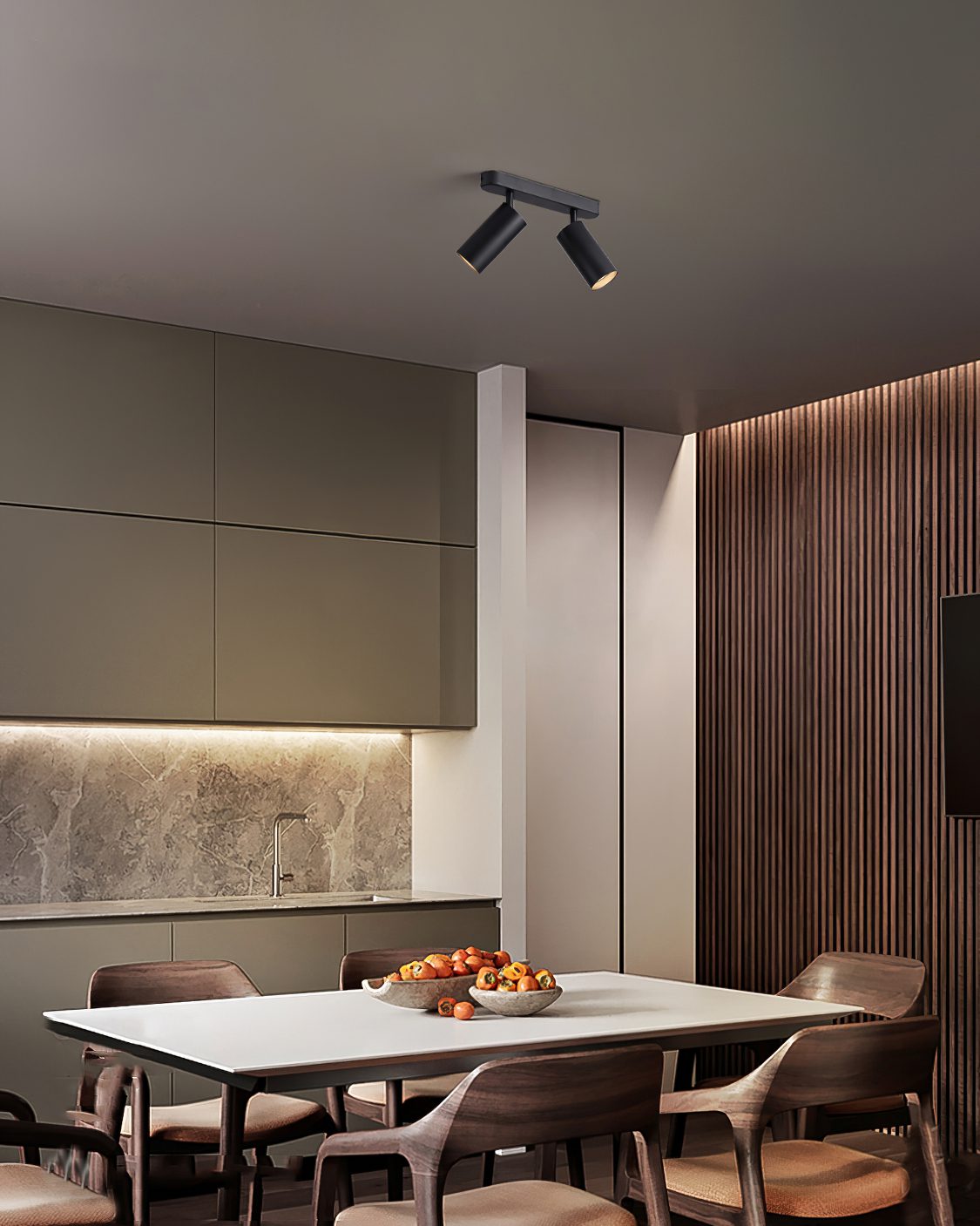 Track Dual Head Downlight