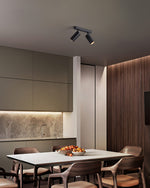 Track Dual Head Downlight